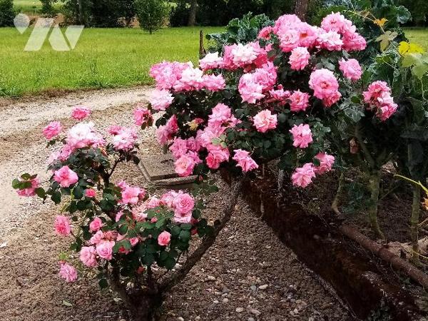 Maison de 108m² sur deux étages avec dépendance et jardin.