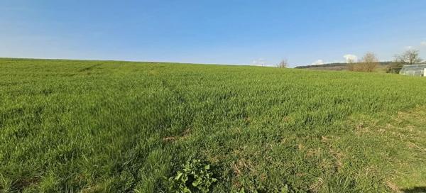 Terrain dans Vendresse