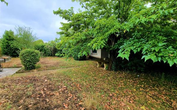 Maison à louer    4 pièces •  Albi