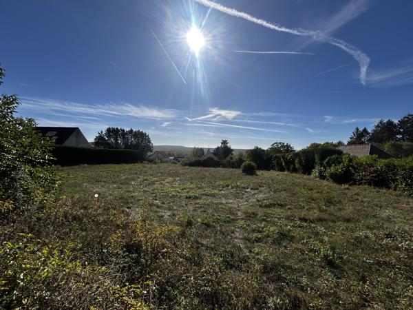 Terrain