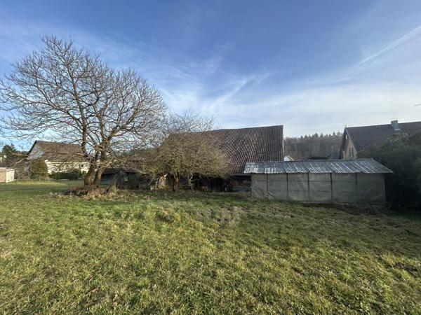 Gildwiller, maison avec dépendance sur un terrain de 48 ares