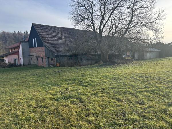 Gildwiller, maison avec dépendance sur un terrain de 48 ares