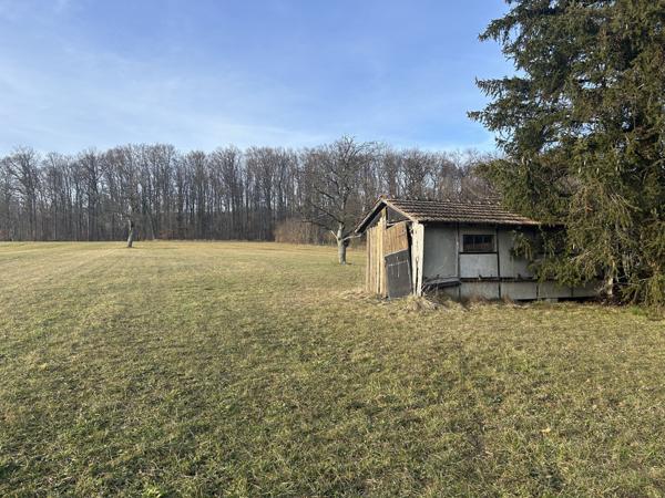 Gildwiller, maison avec dépendance sur un terrain de 48 ares