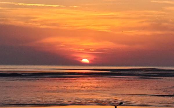 Maison à vendre    3 pièces •  Le Crotoy