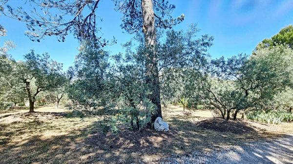 Cheval-Blanc (84460) PROPRIETE A CHEVAL-BLANC: ELEGANCE, CONFORT ET CADRE ENCHANTEUR AU PIED DU LUBERON