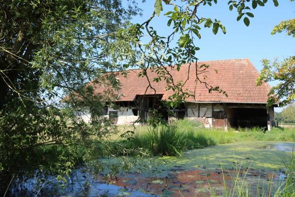 Propriete à vendre 5 pièces proche de SAINT GERMAIN DU BOIS (71)