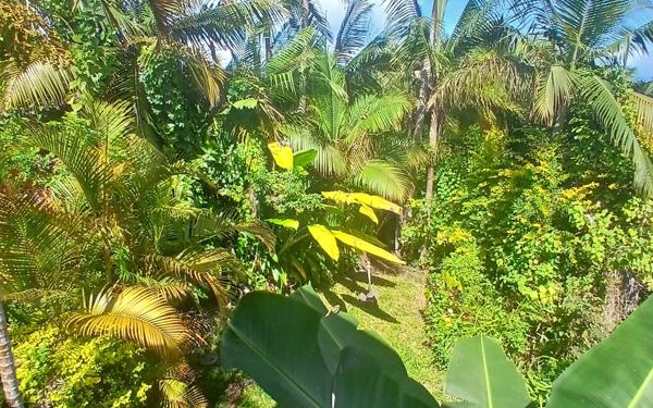 Maison à vendre    4 pièces • 80 m2 Petite-Île