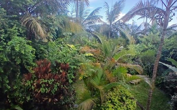 Maison à vendre    4 pièces • 80 m2 Petite-Île