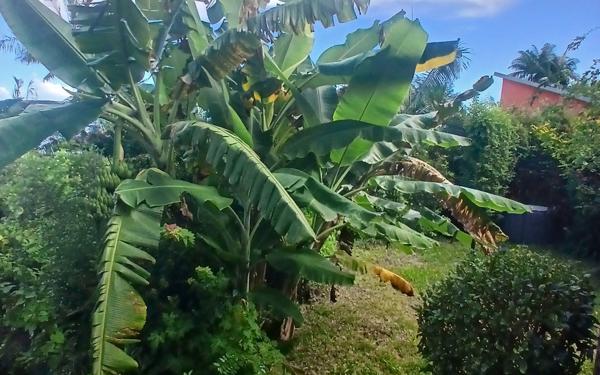 Maison à vendre    4 pièces • 80 m2 Petite-Île