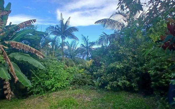 Maison à vendre    4 pièces • 80 m2 Petite-Île