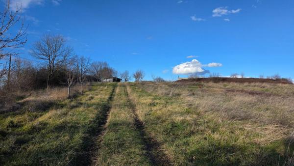 Maison en cours de construction proche Marciac sur 1,17 hectare