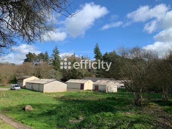 Local Commercial 1 pièce - 190 m² Exclusivité
