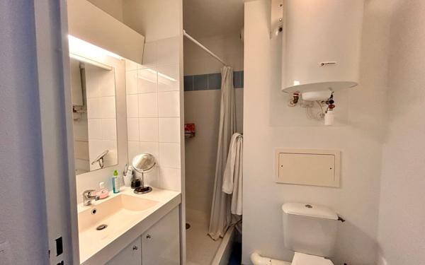 Appartement à vendre    1 pièce • 19 m2 Lyon 7