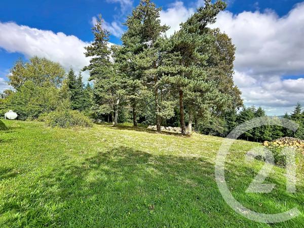 Maison à vendre  12 pièces - 189,45 m 2   TENCE  - 43
