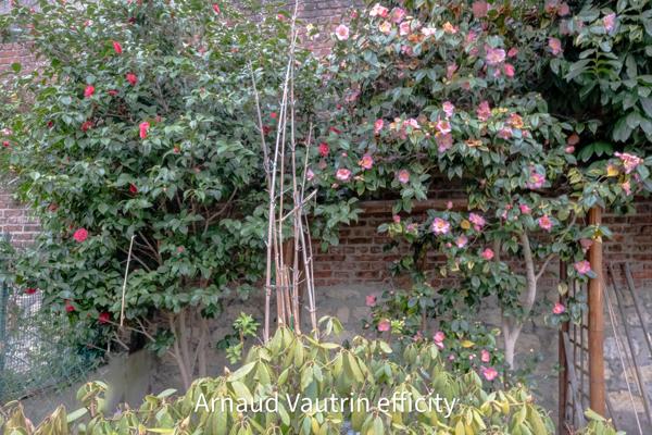 Maison 5 pièces - 108 m²