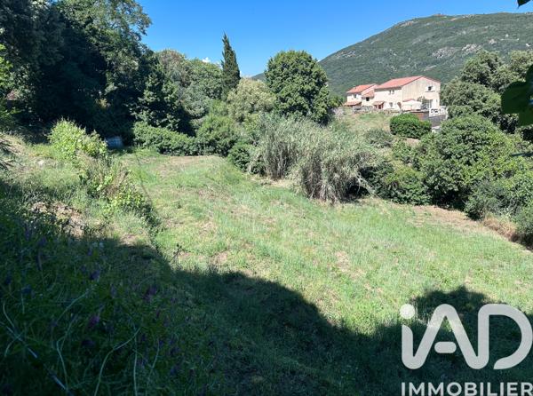 Terrain à vendre 1 016 m² Pietrosella