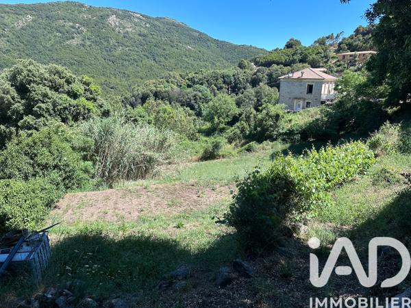 Terrain à vendre 1 016 m² Pietrosella