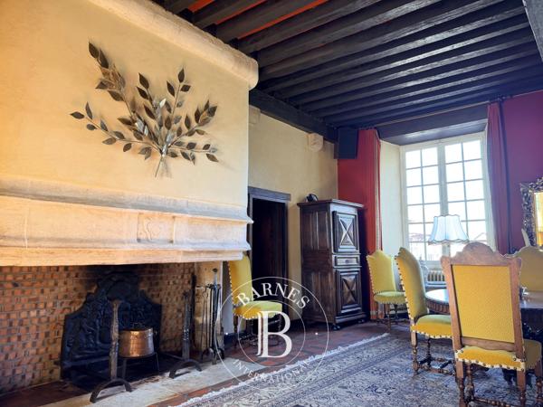 Saint-Amand-Montrond, Château 8 Chambres -  350 m² à vendre