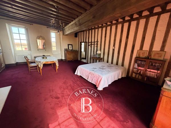 Saint-Amand-Montrond, Château 8 Chambres -  350 m² à vendre