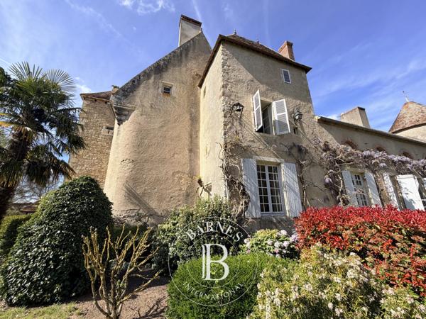 Saint-Amand-Montrond, Château 8 Chambres -  350 m² à vendre