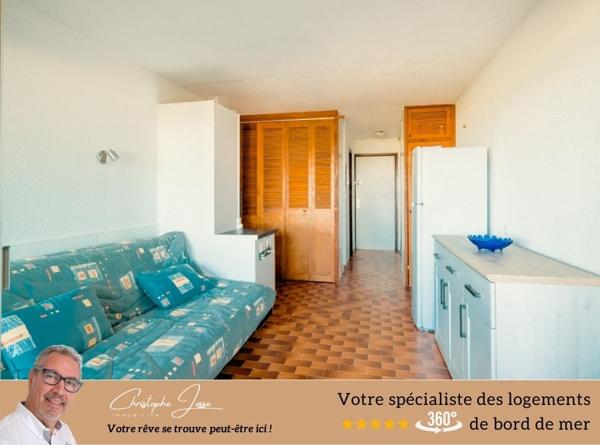 Appartement  4-6 couchages vue mer