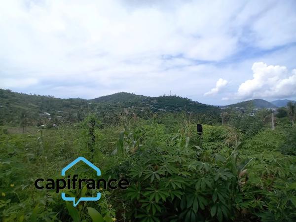 Terrain Agricole à vendre DZAOUDZI (976)