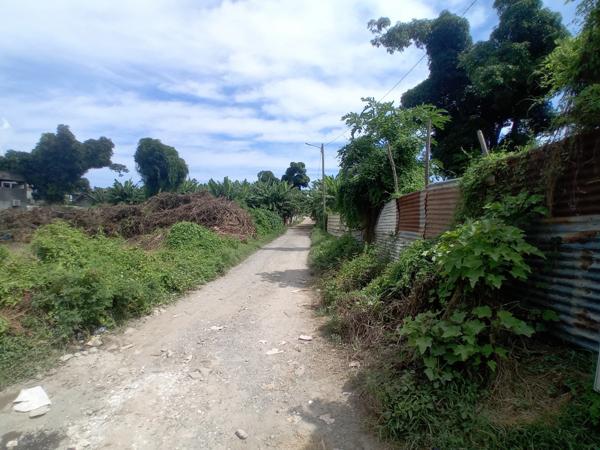 Terrain Agricole à vendre DZAOUDZI (976)