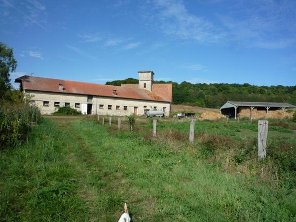 Dpt Aisne (02), à vendre COUCY LE CHATEAU AUFFRIQUE superbe corps de ferme sur 17 hectares