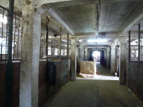 Dpt Aisne (02), à vendre COUCY LE CHATEAU AUFFRIQUE superbe corps de ferme sur 17 hectares