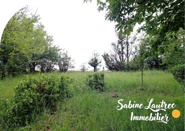 Vénès (81440) Terrain Constructible de 1 207 m² avec Maison et petite dépendance en pierre