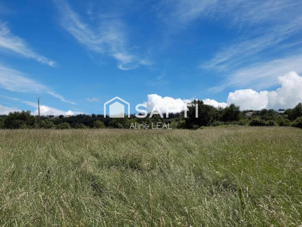 Terrain -13649m2