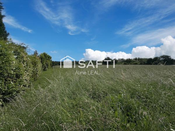 Terrain -13649m2
