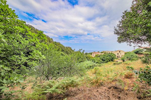 Achat terrain Bastia - 1172 m² - 250 000 €