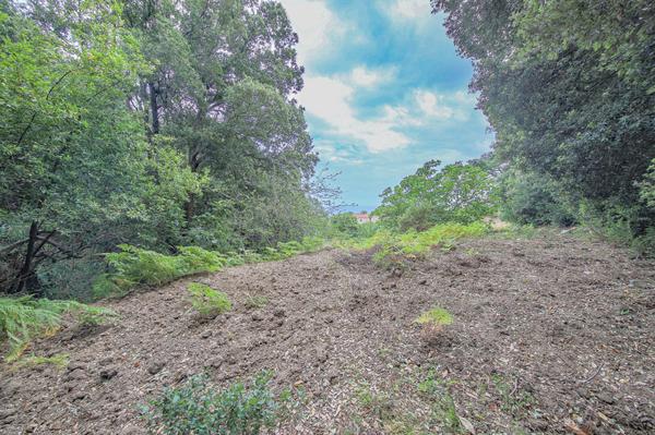 Achat terrain Bastia - 1172 m² - 250 000 €