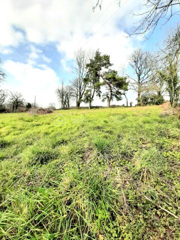 Terrain de 2 390 m²