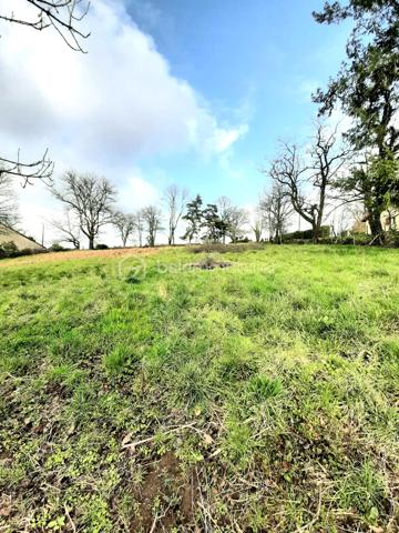 Terrain de 2 390 m²