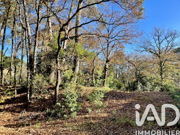 Terrain à vendre 998 m² Capbreton