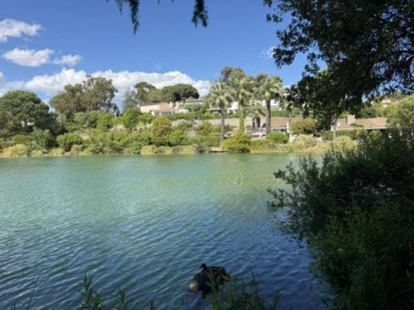 Rez-de-jardin, T5 d'exception dans un domaine prisé, vue mer
