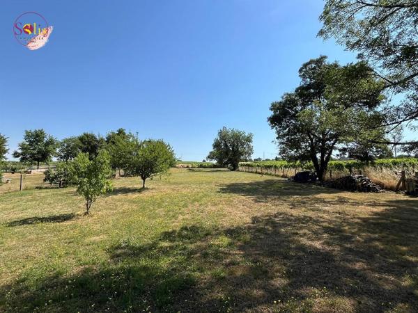 Pavillon avec 4 chambres sur 3 700 m² de jardin ! Ne ...