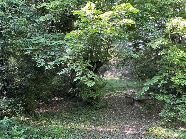 MARMANDE belle et grande demeure en pierre à restaurer