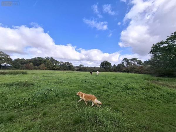 Maison à vendre à Iffendic en Ille-et-Vilaine (35750), ref : 006/2214