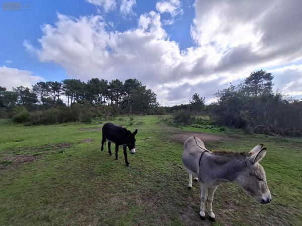 Maison à vendre à Iffendic en Ille-et-Vilaine (35750), ref : 006/2214