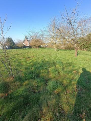 TERRAIN A BATIR, RARE A LA VENTE.