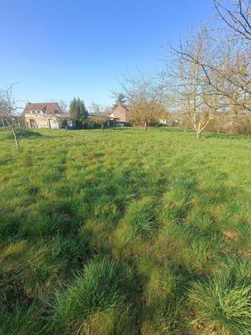 TERRAIN A BATIR, RARE A LA VENTE.