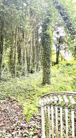Idéalement situé dans une commune en Seine et Marne (77) en région d'Ile de France, proche de Melun, disposant de plusieurs parcs et espaces verts naturels et  paisibles (Meckenheim, Bois de l'Etrier, Bois des Courtillerais), non loin de la foret régionale de Bréviande, en Bord de Seine où vous profiterez pleinement de long promenades durant les  journées d'été et découvrirez musée, le Château de Vaux-le-Vicomte à quelques kilomètres lieu incontournable à Maincy ainsi que le Château de Fontainebleau à  peine 20 minutes, au cœur d'un environnement préservé, ce prestigieux domaine vous ouvre les portes d'une propriété rare alliant élégance, volumes généreux et art de vivre à la française.
Edifiée au sein d'un magnifique parc arboré de 8328 m2, cette demeure de caractère de 430m2 ainsi que 2 dépendances habitables loués développe des espaces de réception remarquables et offre un cadre de vie unique, à l'abri des regards.
La propriété se compose de 18 pièces sur 3 niveaux et de 2 dépendances, 10 chambres spacieuses au total, idéale pour une famille, créer une maison d'hôtes ou organiser des réceptions privés (événementiel)
Vous découvrirez une belle cuisine alliant charme et modernité pour les moments de partage, salon et bel espace de vie lumineux avec cheminées, un bureau, une belle véranda baignée de lumière, salle de bain et wc.
A l'étage: couloir, chambres, dressings, salle de bain.
Un étage supplémentaire avec chambres spacieuses, dressing et salle de bain, un wc, un bureau
A l'extérieur: le parc paysagé constitue un véritable havre de paix, des cacscades, des arbres majestueux, grandes perspectives verdoyantes et atmosphère élégante conférent au domaine un charme intemporel. 2 garages, un atelier, de nombreuses places de parkings, sous-sol, 2 entrées avec portail motorisé avec interphone. Une grande piscine couverte et chauffée.
Chauffage au gaz, poêle à bois, panneaux solaires
Travaux de rénovations effectués en 2019
LES POINTS FORTS:
Propriété de prestige pleine de caractère
18 pièces au volumes exceptionnels
10 chambres au total
2 dépendances habitables avec chambres
Parc arboré de 8900 m2 constructible
Fort potentiel pour résidence familiale, évènementiel ou activité d'hébergement haut de gamme