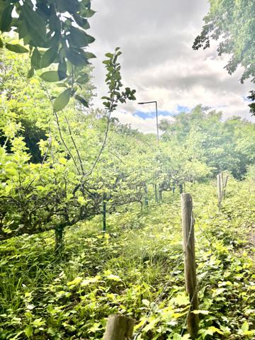 Idéalement situé dans une commune en Seine et Marne (77) en région d'Ile de France, proche de Melun, disposant de plusieurs parcs et espaces verts naturels et  paisibles (Meckenheim, Bois de l'Etrier, Bois des Courtillerais), non loin de la foret régionale de Bréviande, en Bord de Seine où vous profiterez pleinement de long promenades durant les  journées d'été et découvrirez musée, le Château de Vaux-le-Vicomte à quelques kilomètres lieu incontournable à Maincy ainsi que le Château de Fontainebleau à  peine 20 minutes, au cœur d'un environnement préservé, ce prestigieux domaine vous ouvre les portes d'une propriété rare alliant élégance, volumes généreux et art de vivre à la française.
Edifiée au sein d'un magnifique parc arboré de 8328 m2, cette demeure de caractère de 430m2 ainsi que 2 dépendances habitables loués développe des espaces de réception remarquables et offre un cadre de vie unique, à l'abri des regards.
La propriété se compose de 18 pièces sur 3 niveaux et de 2 dépendances, 10 chambres spacieuses au total, idéale pour une famille, créer une maison d'hôtes ou organiser des réceptions privés (événementiel)
Vous découvrirez une belle cuisine alliant charme et modernité pour les moments de partage, salon et bel espace de vie lumineux avec cheminées, un bureau, une belle véranda baignée de lumière, salle de bain et wc.
A l'étage: couloir, chambres, dressings, salle de bain.
Un étage supplémentaire avec chambres spacieuses, dressing et salle de bain, un wc, un bureau
A l'extérieur: le parc paysagé constitue un véritable havre de paix, des cacscades, des arbres majestueux, grandes perspectives verdoyantes et atmosphère élégante conférent au domaine un charme intemporel. 2 garages, un atelier, de nombreuses places de parkings, sous-sol, 2 entrées avec portail motorisé avec interphone. Une grande piscine couverte et chauffée.
Chauffage au gaz, poêle à bois, panneaux solaires
Travaux de rénovations effectués en 2019
LES POINTS FORTS:
Propriété de prestige pleine de caractère
18 pièces au volumes exceptionnels
10 chambres au total
2 dépendances habitables avec chambres
Parc arboré de 8900 m2 constructible
Fort potentiel pour résidence familiale, évènementiel ou activité d'hébergement haut de gamme