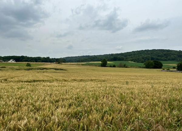 Terrain à vendre    Sacy-le-Grand