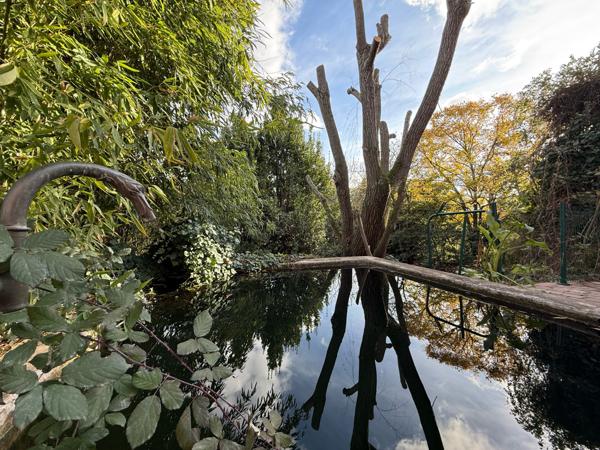 Lodève (34700) EXCLUSIVITÉ – LODÈVE – VILLA CONTEMPORAINE PLEIN SUD 154,28 m² + PISCINE + TERRAIN CLOS ET ARBORÉ 9 400 m² CON