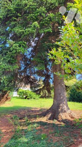 Dans un quartier résidentiel, pavillon sur 1420 m²