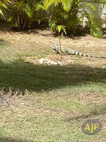 Vente appartement Floirac : 152 000 € - AJP Immobilier Le Bouscat